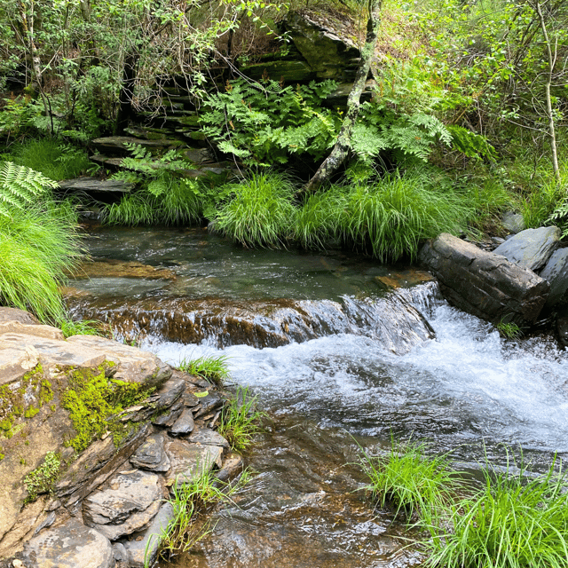 Porto Rio Mau: Hiking, Waterfalls, Lunch. - Recap