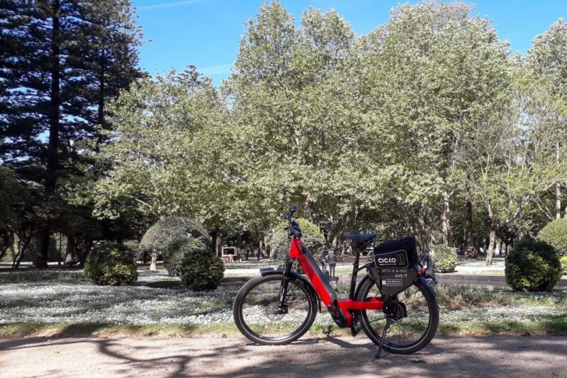 Porto Riverbank Tour on an E-Bike: Atlantic Coast, Gardens - E-bike Advantages