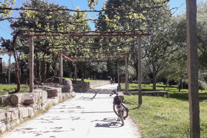 Porto Riverbank Tour on an E-Bike: Atlantic Coast, Gardens - Physical Requirements