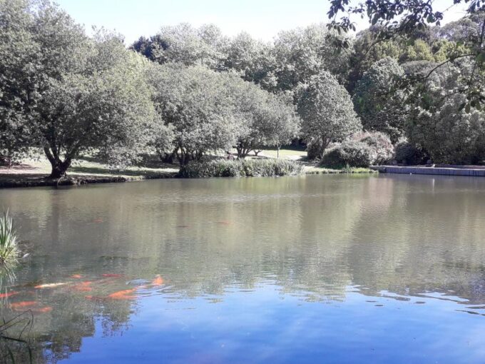 Porto Riverbank Tour on an E-Bike: Atlantic Coast, Gardens - Important Information