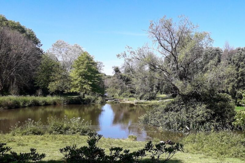 Porto Riverbank Tour on an E-Bike: Atlantic Coast, Gardens - E-bike Advantages