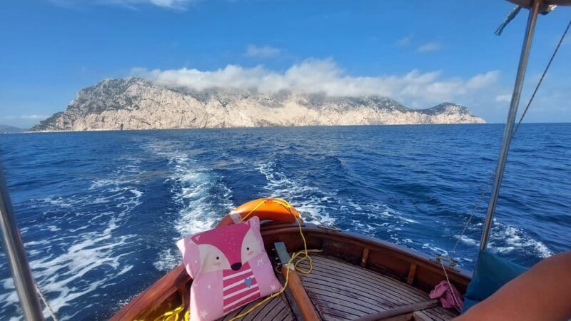 Porto San Paolo: Day Tour to Tavolara and Molara Fish-Lunch - Key Points