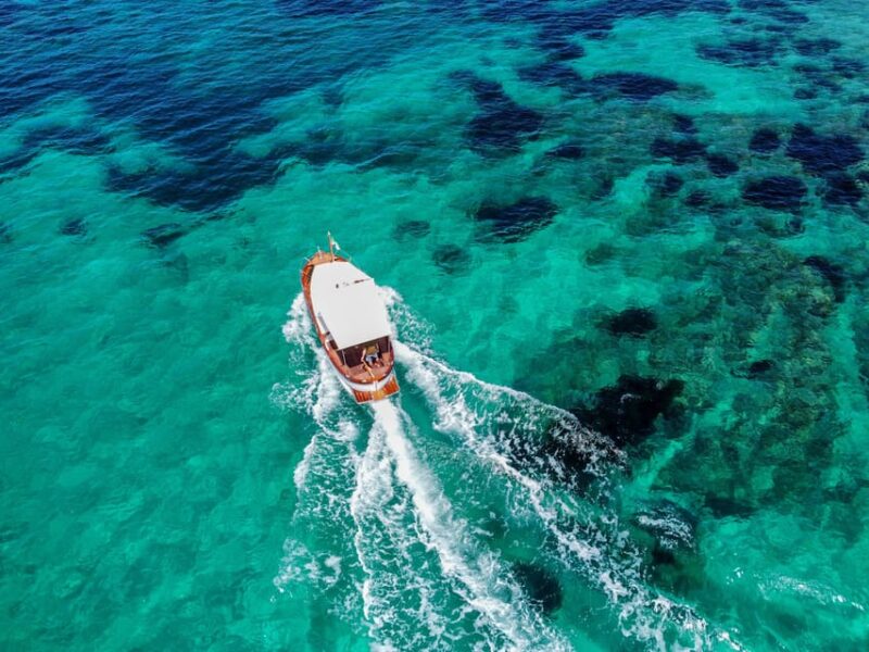 Porto San Paolo: Day Tour to Tavolara and Molara Fish-Lunch - Itinerary Highlights
