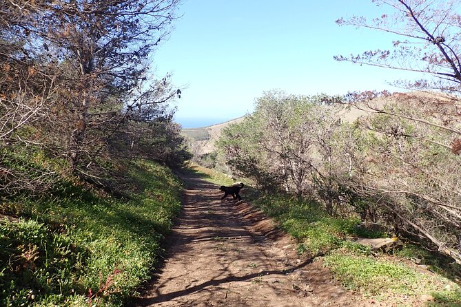 Porto Santo - Ana Ferreira Hiking Tour - Meeting and Pickup Arrangements