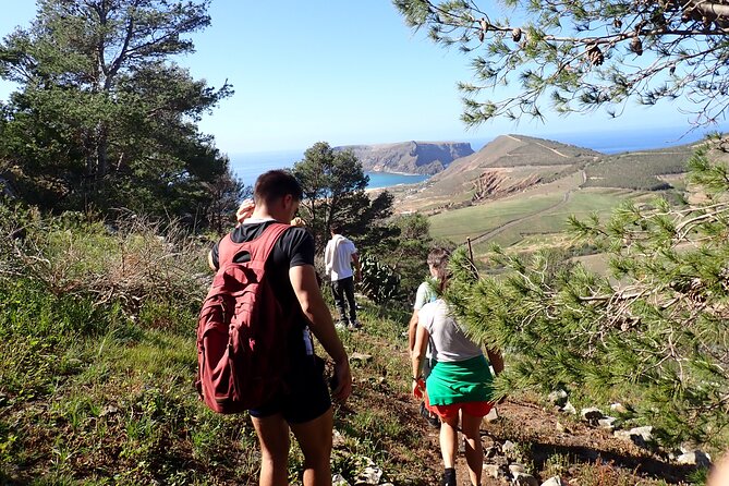 Porto Santo - Ana Ferreira Hiking Tour - Booking and Cancellation Policy