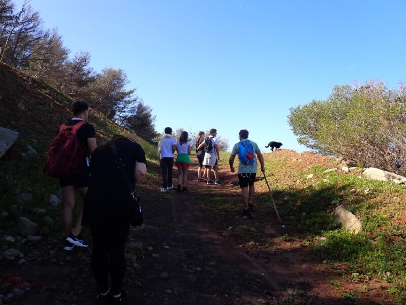 Porto Santo - Ana Ferreira Hiking Tour - Participant Restrictions