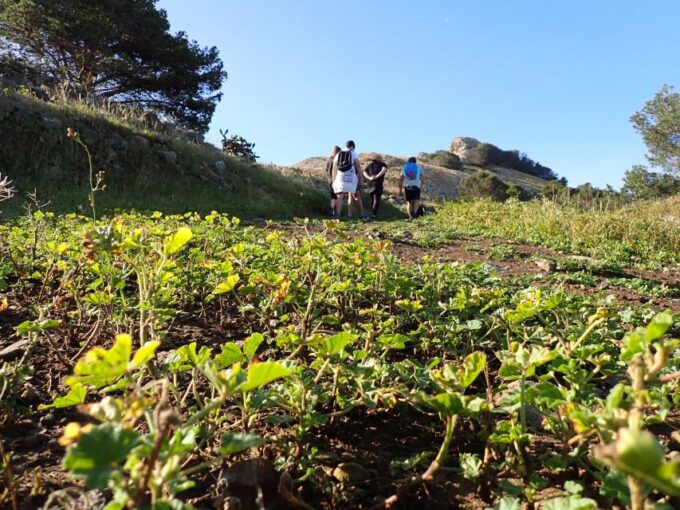 Porto Santo - Ana Ferreira Hiking Tour - Customer Reviews
