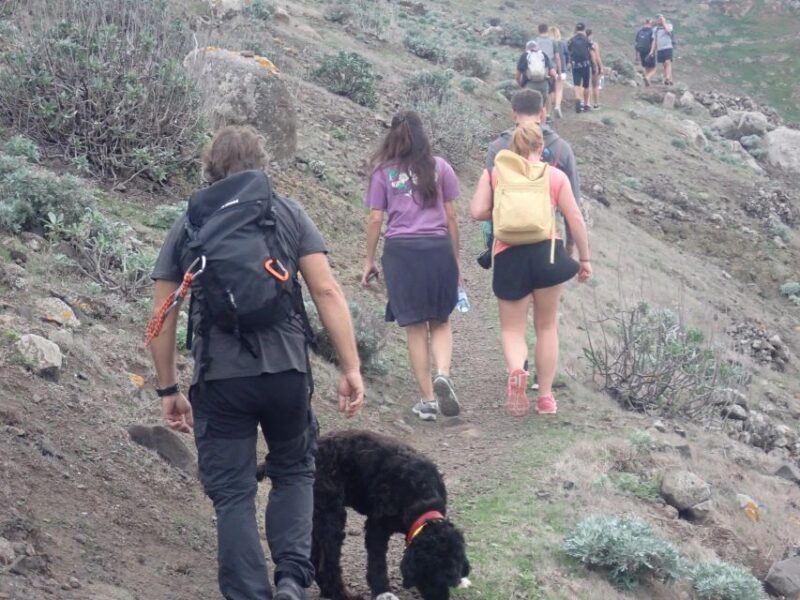 Porto Santo - Earth Hiking Tour - Experience Highlights