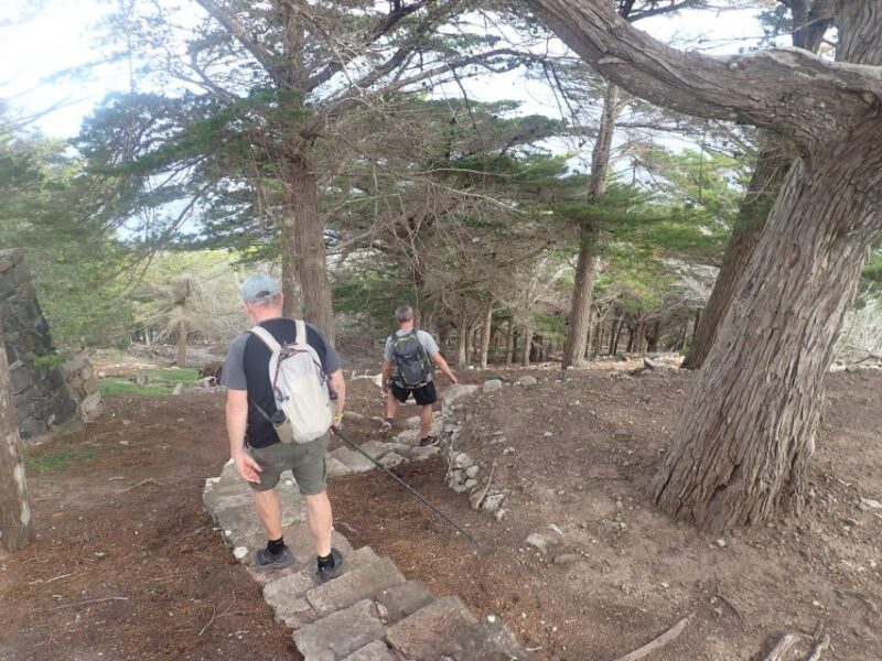 Porto Santo - Earth Hiking Tour - Family-Friendly Activity and Island Secrets