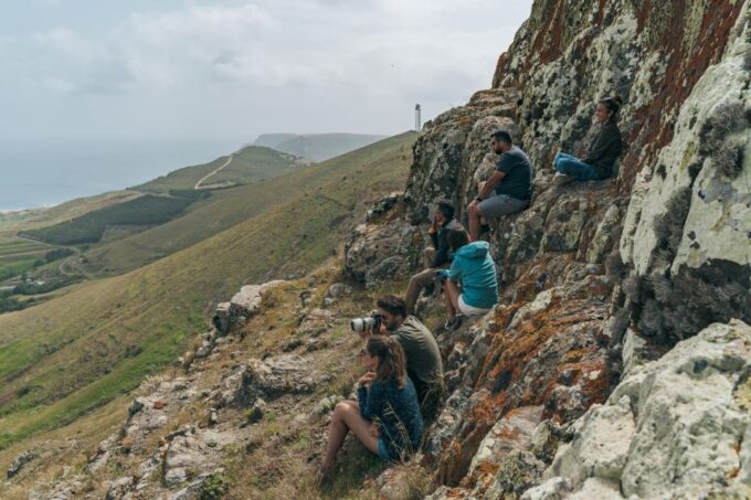Porto Santo: Island Highlights 4x4 Tour With Hotel Transfers - Customer Feedback