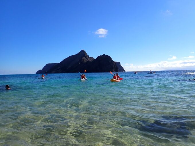 Porto Santo: Kayak Tour From Ponta Calheta - Customer Feedback Highlights