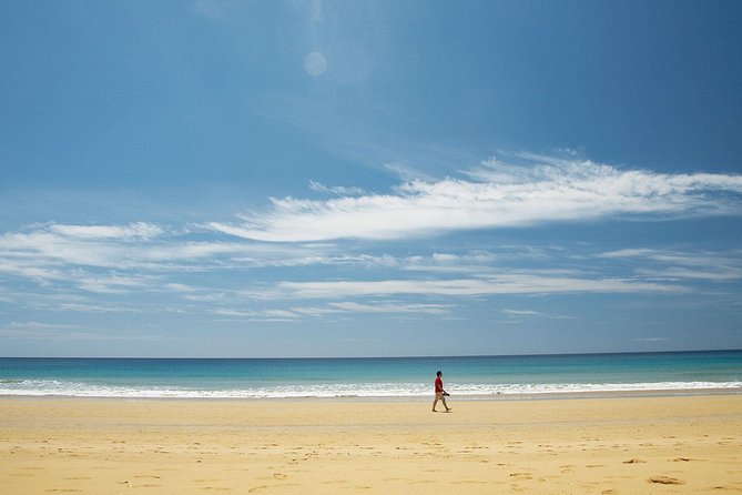 Porto Santo One-Day Cruise and Tour - Group Size and Duration