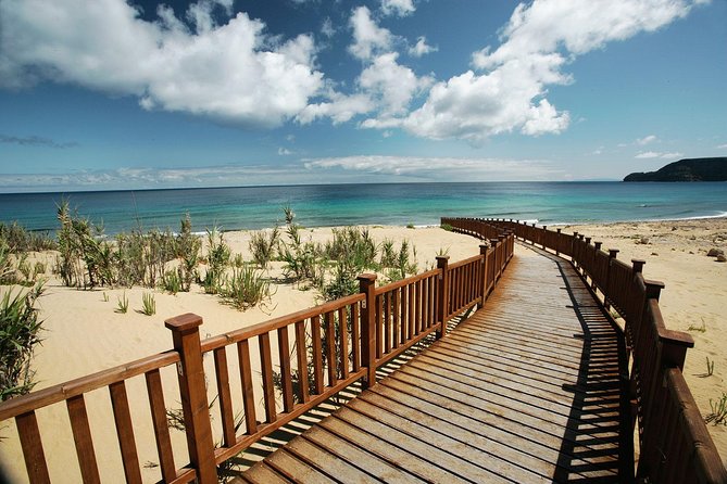 Porto Santo One-Day Cruise and Tour - Accessibility and Policies