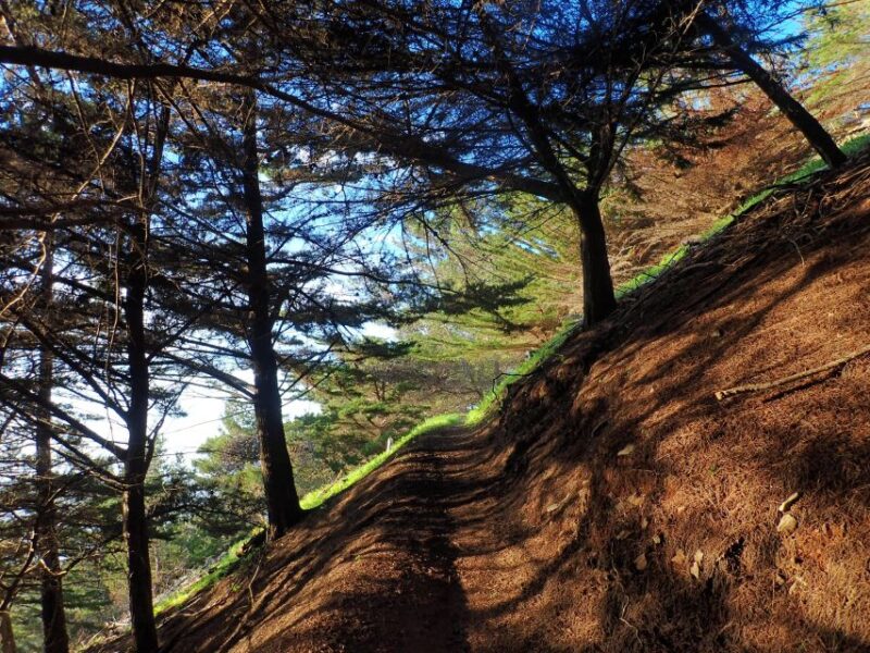 Porto Santo - Pico Do Facho Hiking Tour - Key Points