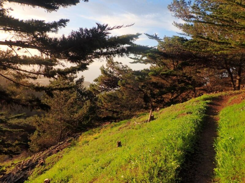 Porto Santo - Pico Do Facho Hiking Tour - Experience Highlights
