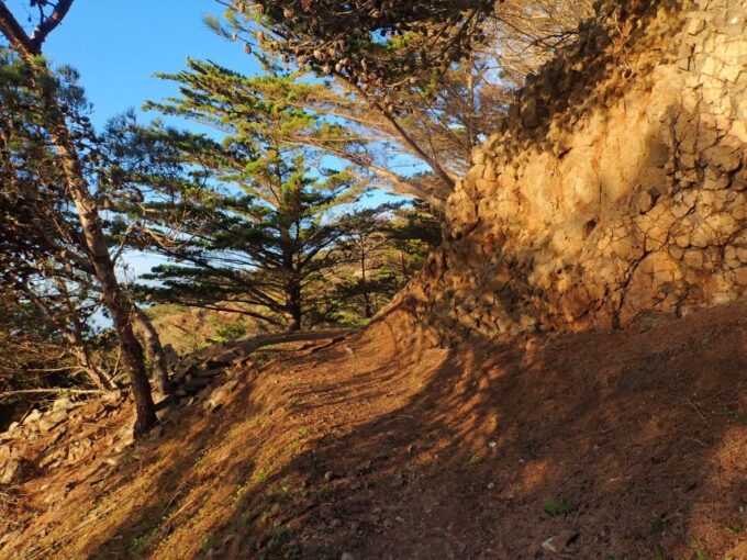 Porto Santo - Pico Do Facho Hiking Tour - Reviews and Ratings