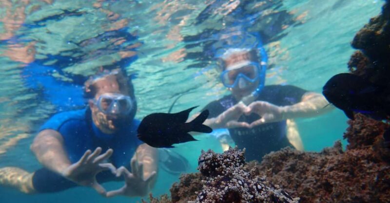 Porto Santo: Snorkeling Tour - Pricing and Booking