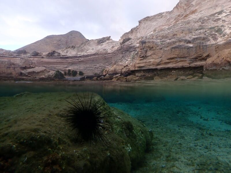 Porto Santo: Snorkeling Tour - Transportation and Safety