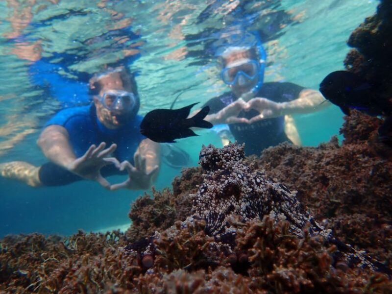 Porto Santo: Snorkeling Tour - Pricing and Booking
