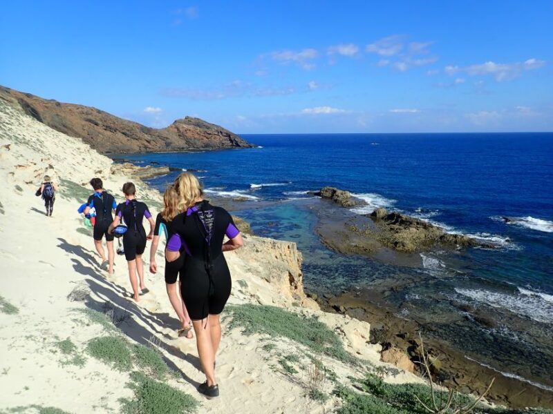 Porto Santo: Snorkeling Tour - Snorkeling Highlights