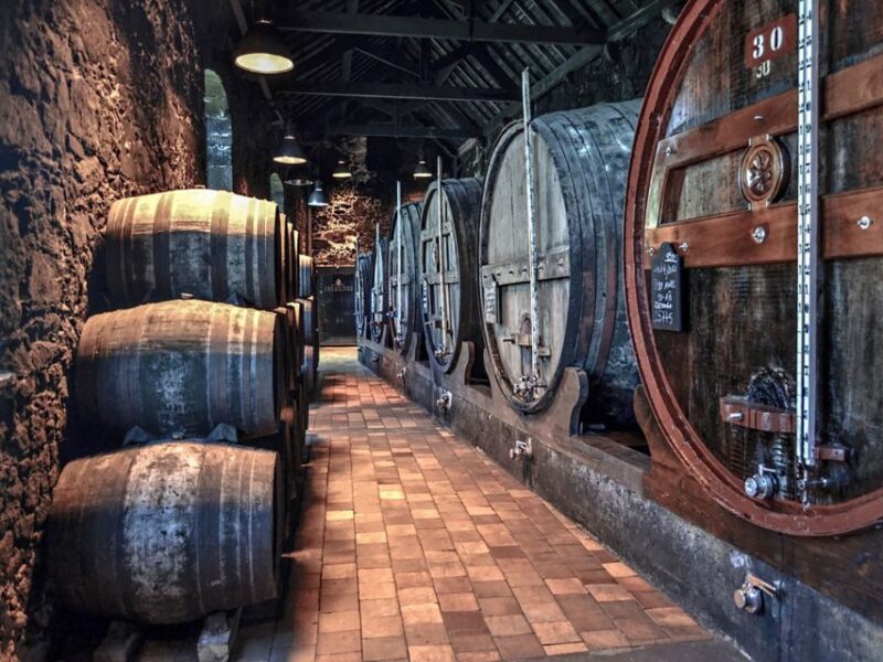 Porto: Self-Guided Bike and Boat Tour With Port Wine Tasting - Regional Cuisine