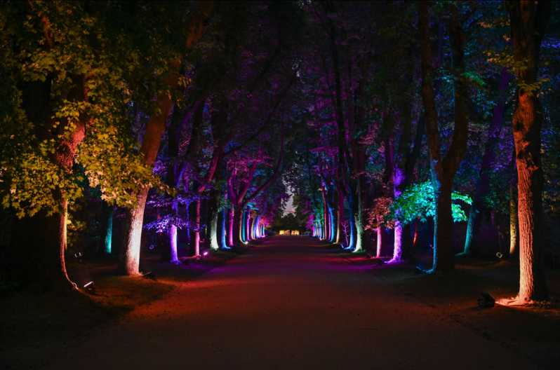 Porto: Serralves Em Luz Immersive Light Show Entry Ticket - Key Points