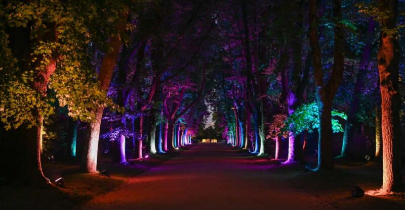 Porto: Serralves Em Luz Immersive Light Show Entry Ticket - Artistic Features