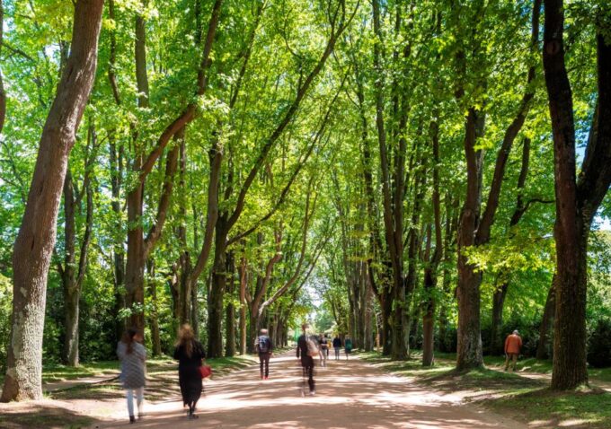 Porto: Serralves Park Entry Ticket - Park Reviews and Ratings