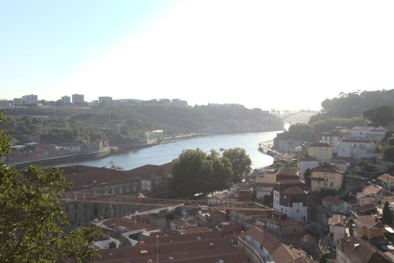 Porto: Sunset Walking Tour With Port Wine and Views - Customer Feedback and Ratings