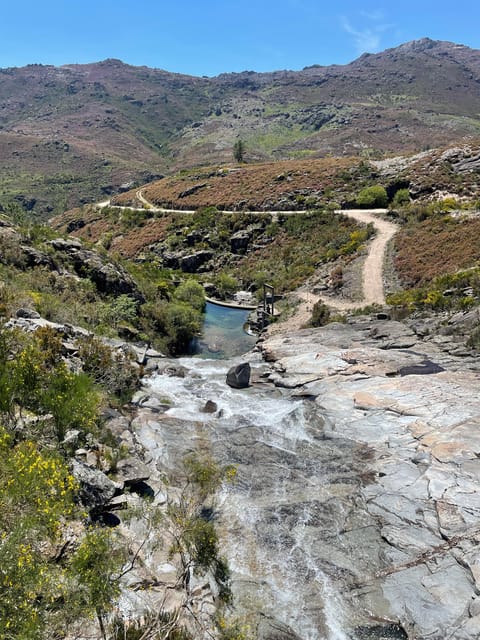 Porto: Swimming, Hiking, Picnic in Gerês National Park - Participant Experiences and Highlights