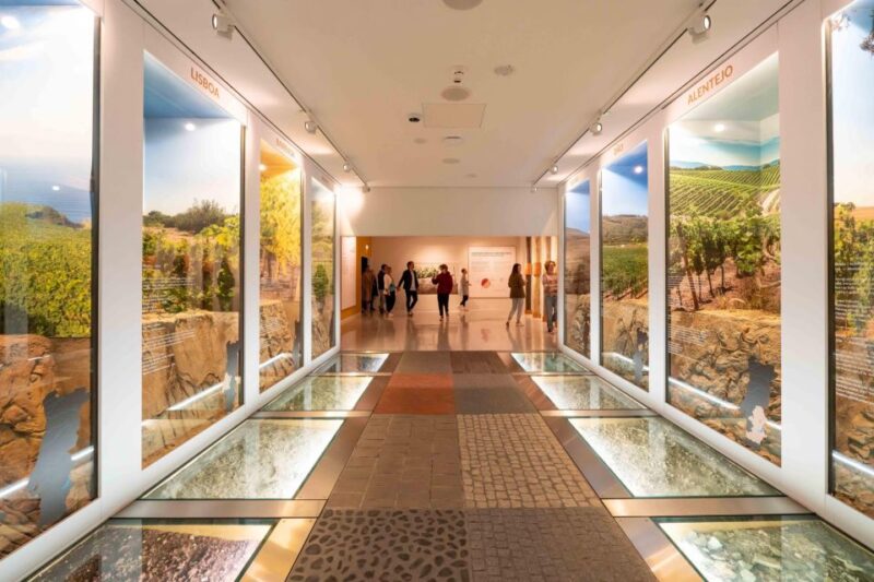 Porto: Taylor's Port Cellar Tour + WOW Museum Pack - Key Points