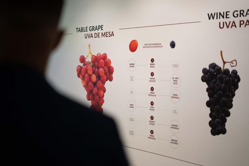 Porto: Taylor's Port Wine Cellar Tour & The Wine Experience - Experience Highlights