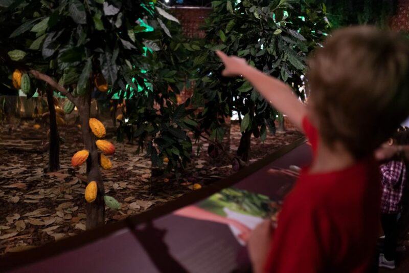 Porto: The Chocolate Story Entry Ticket & Tasting at WOW - Immersive Chocolate Journey