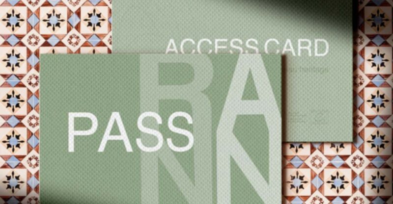 Porto to Aveiro & Costa Nova Day Trip Pass - Key Points
