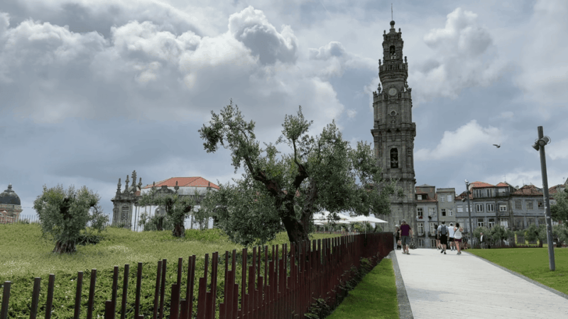 Porto to Gaia Experience: History and Wine Tasting Tour - Customer Reviews and Feedback