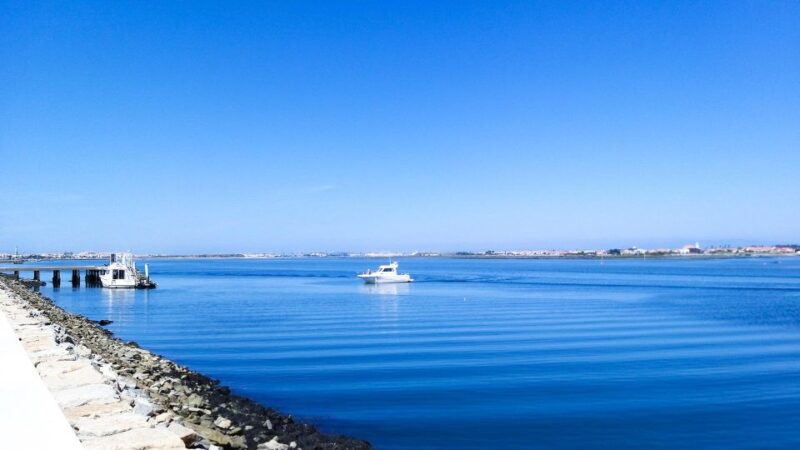 Porto to Lisbon Private Tour, Choose 2 or 3 Stops on the Way - Itinerary and Stops