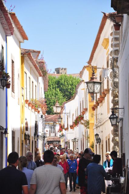 Porto to Lisbon With Aveiro-Coimbra-Fátima-Nazaré-Óbidos - Highlights and Experiences