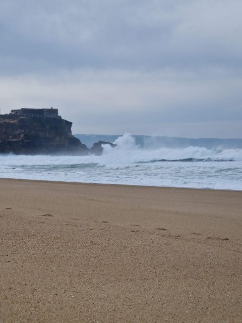 Porto to Lisbon With Aveiro-Coimbra-Fátima-Nazaré-Óbidos - Customer Rating and Reviews