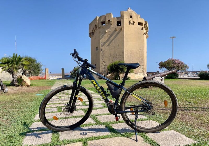Porto Torres: Rent Your Mountain Bike to Discover Asinara - Overview of Mountain Bike Rental in Porto Torres