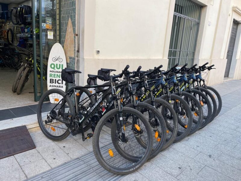 Porto Torres: Rent Your Mountain Bike to Discover Asinara - Meeting Point and Return Information