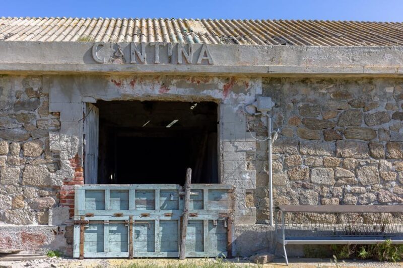 Porto Torres: Rent Your Mountain Bike to Discover Asinara - Tips for a Successful Bike Adventure