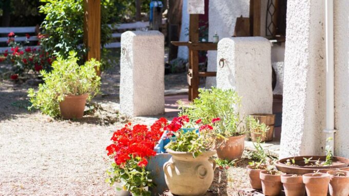 Porto Torres: Sardinian Fresh Pasta Cooking Class - Included