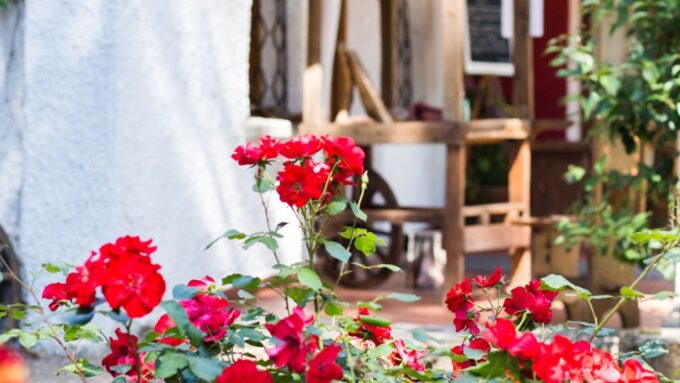 Porto Torres: Sardinian Sweets Cooking Class With Tastings - Included in the Workshop