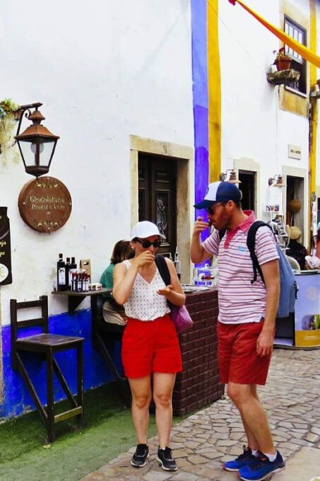 Porto: Transfer to Lisbon With Stops in Aveiro-Nazaré-Obidos - Additional Information