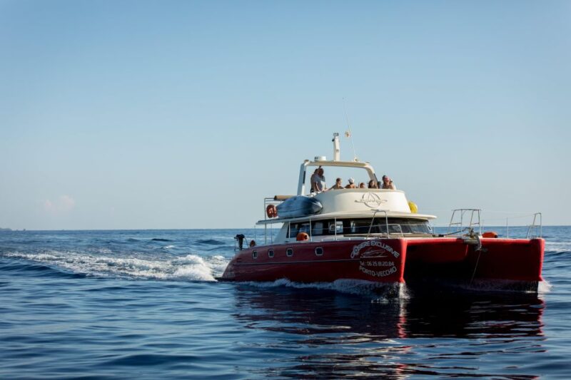 Porto-Vecchio: Catamaran Cruise - Lavezzi Islands - Important Considerations