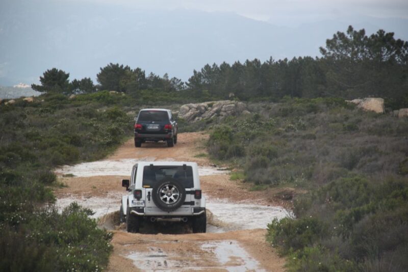 Porto Vecchio: Cuscionu Plateau & Alta Rocca 4x4 Tour - Cultural Immersion