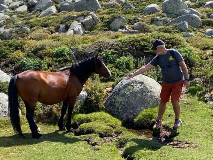 Porto Vecchio: Cuscionu Plateau & Alta Rocca 4x4 Tour - Frequently Asked Questions