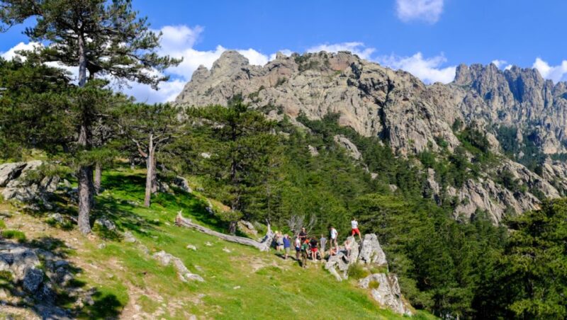 Porto Vecchio: Forest Hospital & Bavella Needles 4x4 Tour - Traditional Village Visit