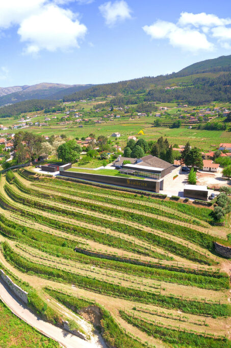 Porto: Vinho Verde Experience With 2 Wineries & Lunch - Melgaço Winery Tour