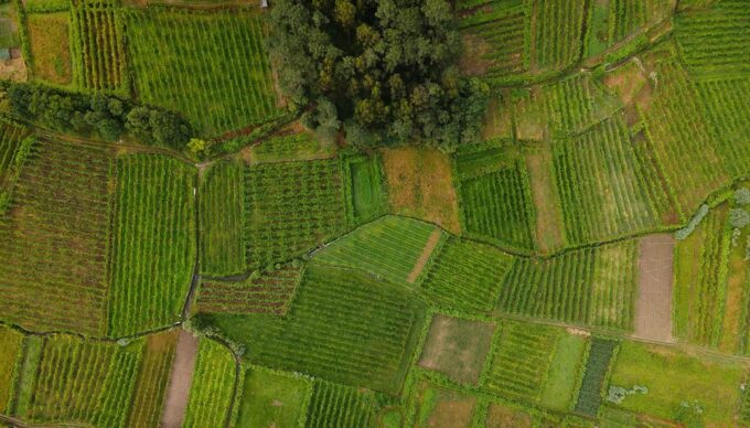 Porto: Vinho Verde Experience With 2 Wineries & Lunch - Frequently Asked Questions
